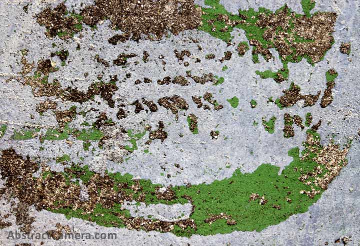 abstract photos of peeling paint by contemporary photographer Nolan Haan