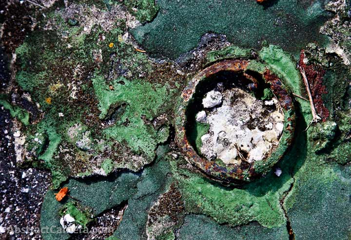 digital photography pictures by Nolan Haan