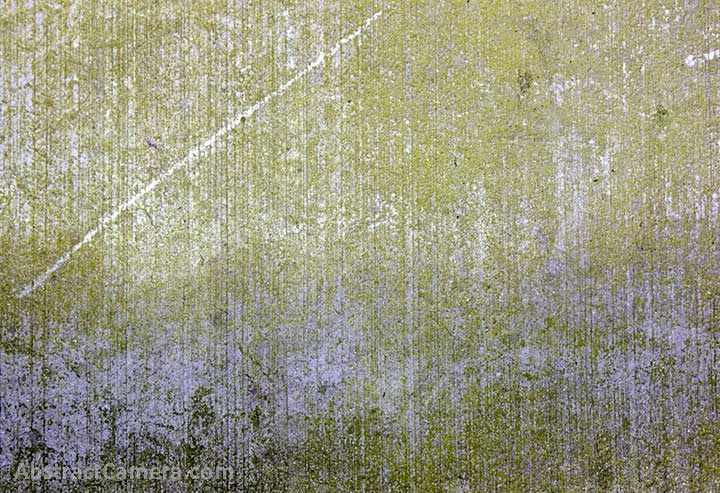 art photography gallery of Nolan Haan