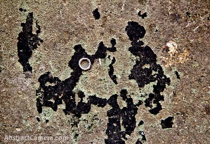 digital photography pictures of Nolan Haan